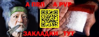 шишки Новодвинск