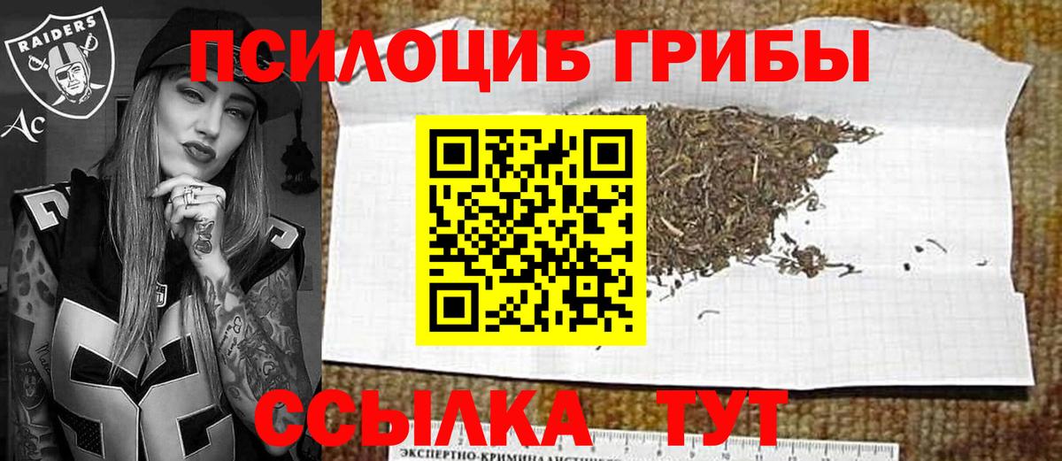 Сунжа  Псилоцибиновые грибы Psilocybine cubensis  Вход с VPN  Псилоцибиновые грибы прущие грибы 