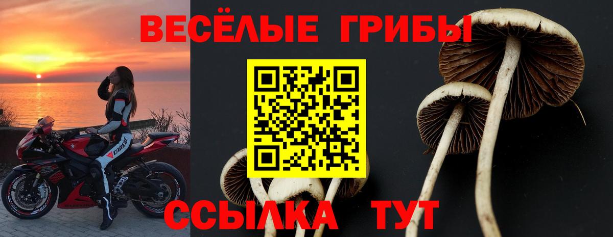 Галлюциногенные грибы Magic Shrooms Сунжа